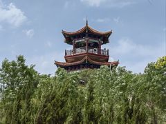 -南大港湿地风景区