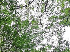 -海南热带野生动植物园