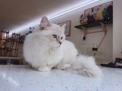 -叁秋咖啡 SANQIU COFFEE(天津河北路店)