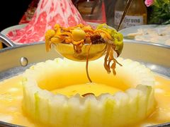 -禄婶鸡煲·打边炉
