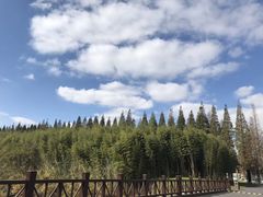 -黄海国家森林公园