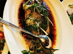 -上海小南国(正大店)