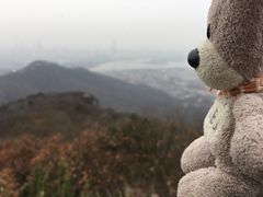 -紫金山山顶公园