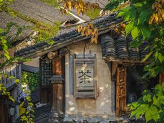 -乌镇西栅景区