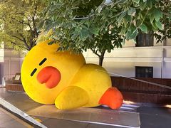 -国药中服免税(北京坊店)