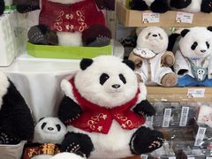 -熊猫邮局(少城店)