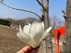 -北运河水利风景区