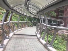 -香港大学
