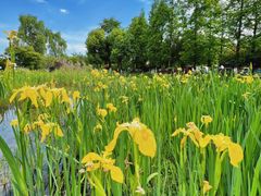 -云漫湖生态度假公园