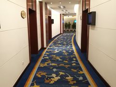 -上海青松城大酒店