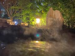 -中家鑫园温泉酒店鑫悦汤泉