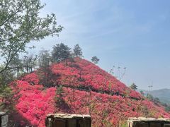 -木兰云雾山