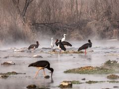-沕沕水生态风景区