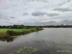-贡湖湾湿地公园
