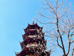 -龙华寺