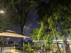 -蘇河湾·新鲁菜·泰山宴(泰山店)