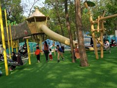 -南戴河国际娱乐中心