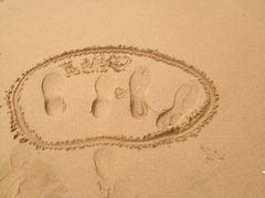 -贝壳梦幻世界
