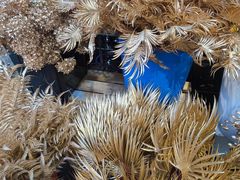 -循礼门鲜花花市(武汉循礼门店)