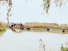 -大莲湖农家乐(青西郊野公园店)