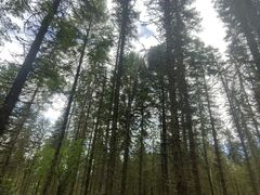 -硗碛藏寨·神木垒景区