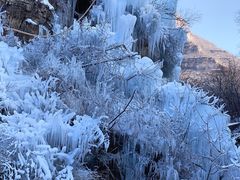 -大平台龙居瀑布旅游区