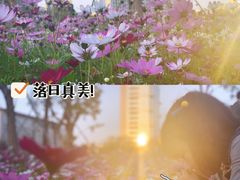 -香蜜公园