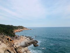 -广东惠东海龟国家级自然保护区