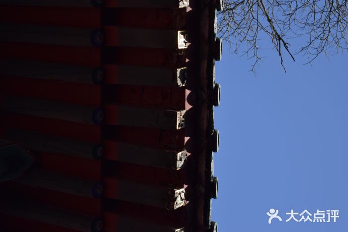 嵩山少林文化旅游景区图片