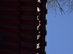 -嵩山少林文化旅游景区