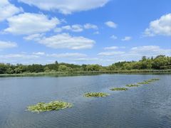 -溱湖国家湿地公园