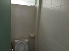 -巴哥国家公园