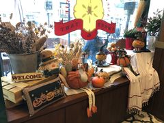 -Pie Bird(新闸路店)