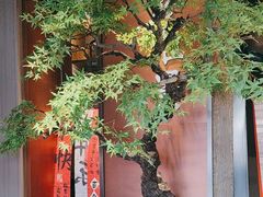 -苏淮景·苏闽融创菜·海鲜(原空港井河轩店)
