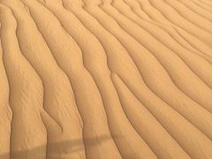 -迪拜沙漠冲沙