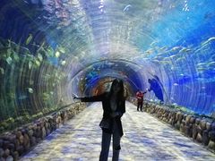 -华夏文旅海洋公园