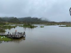 -大九湖