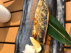 盐烤青花鱼-Hatsune隐泉日式料理(三里屯太古里店)