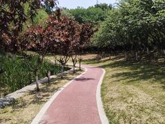 -太子山公园(园东路)