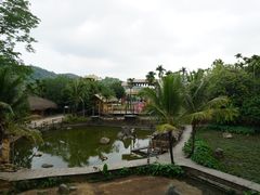 -海南槟榔谷黎苗文化旅游区