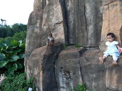 -海南热带野生动植物园