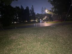-四海公园(南山区)