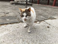 -四门塔风景区