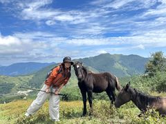 -灵山