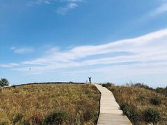 -白草畔自然风景区