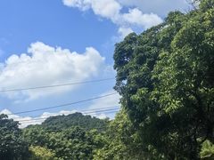 -黄埔油麻山森林公园