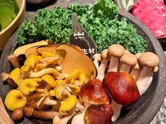 菌菇四宫格-三出山火锅(万象天地店)