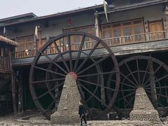 -呀路古热带植物园-恐龙馆