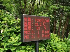 -五营国家森林公园