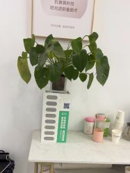 -Dr.Jane皮肤管理中心